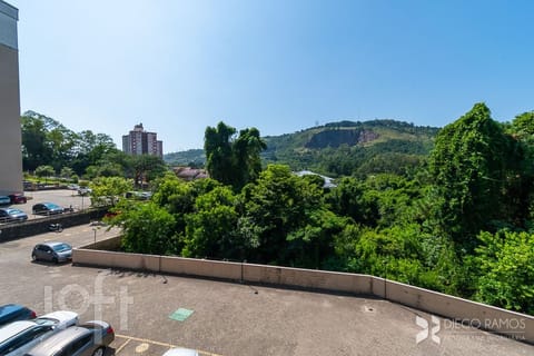 Image 24 - 264781